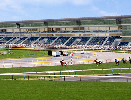 Racecourse grandstand and track