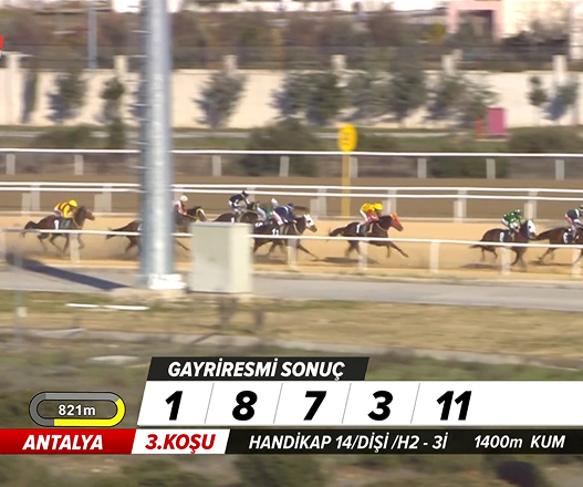 Live race broadcast preview